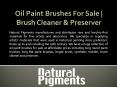 Oil Paint Brushes For Sale | Brush Cleaner & Preserver