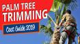 Palm Tree Trimming Cost Guide 2019 PowerPoint PPT Presentation