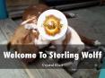 Detail Presentation About Sterling Wolff PowerPoint PPT Presentation