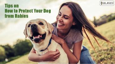 Tips on How to Protect Your Dog from Rabies
