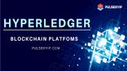 Blockchain Apps Using Hyperledger Blockchain Platforms