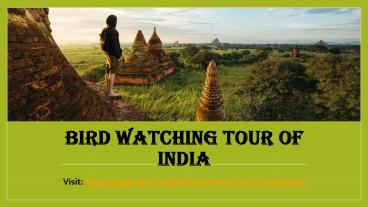 Bird Watching Tour of India