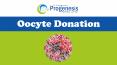 Oocyte Donation PowerPoint PPT Presentation