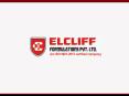 PCD Pharma Company in Chandigarh - Elcliff Formulations Pvt Ltd PowerPoint PPT Presentation