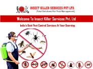 Get Rid Of Pest Now !!