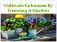 Cultivate Calmness By Growing A Garden PowerPoint PPT Presentation