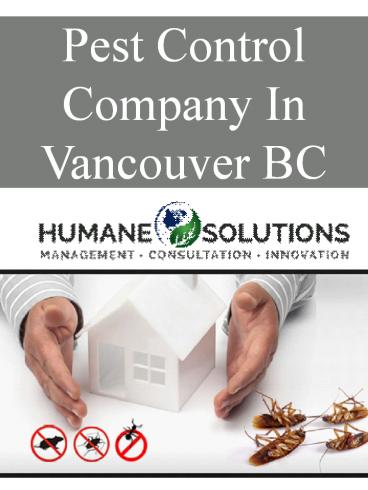 Pest Control Company In Vancouver BC