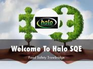 Information Presentation Of Halo SQE