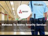 Detail Presentation About Sentry Security Services