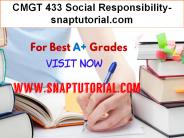 CMGT 433 Social Responsibility-snaptutorial.com