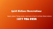 Query about flying easily resolved at Spirit Airlines Reservations