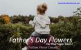 Father’s Day Flowers By Trillium Florist Canada PowerPoint PPT Presentation