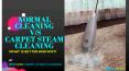 Normal Cleaning V/s Carpet Steam Cleaning what is Better and why? PowerPoint PPT Presentation