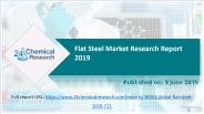 Flat Steel Market Research Report 2019