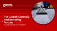 The Carpet Cleaning and Repairing Process PowerPoint PPT Presentation