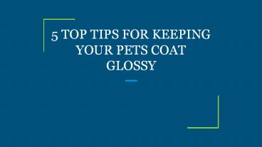 5 TOP TIPS FOR KEEPING YOUR PETS COAT GLOSSY