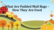 What Are Padded Mail Bags & How They Are Used