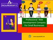 Web Designing Services In Delhi | Aquadsoft Software Company