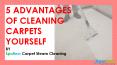 5 Advantages of Cleaning Carpets Yourself PowerPoint PPT Presentation