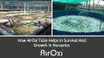 How AirOxi Tube Helps In Survival And Growth In Nurseries PowerPoint PPT Presentation