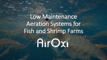 Low Maintenance Aeration System by AirOxi Tube
