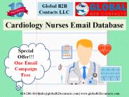 Cardiology Nurses Email Database