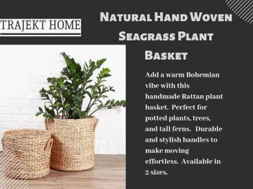 House Indoor Plants - TrajektHome