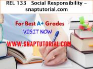 REL 133   Social Responsibility - snaptutorial.com