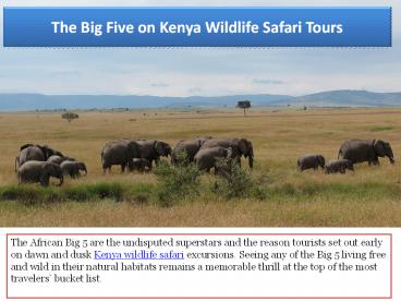 See The Big Five on Kenya Wildlife Safari Tours