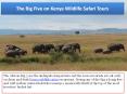 See The Big Five on Kenya Wildlife Safari Tours PowerPoint PPT Presentation