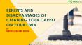 Benefits and Disadvantages of Cleaning your Carpet on your own PowerPoint PPT Presentation