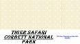 Tiger safari Corbett national park PowerPoint PPT Presentation