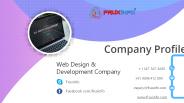 Fruxinfo - Web Design New York