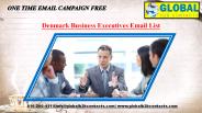 Denmark Business Executives Email List