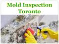 Mold Inspection Toronto PowerPoint PPT Presentation