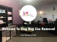 Slug Bug Lice Removal Presentation  PowerPoint PPT Presentation