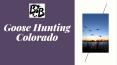Goose Hunting Colorado (1) PowerPoint PPT Presentation