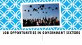 Job Opportunities In Government Sectors PowerPoint PPT Presentation