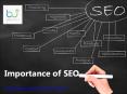 Importance of SEO for your business|SEO services|Brandupword PowerPoint PPT Presentation