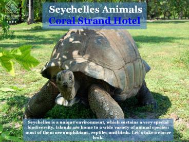 Seychelles Animals - Coral Strand Hotel