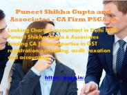 Puneet Shikha Gupta and Associates PSGA.in