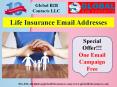 Life Insurance Email Addresses PowerPoint PPT Presentation