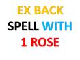 Get your ex back to you immediately with red rose flower love spell. PowerPoint PPT Presentation
