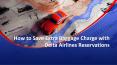 How to Save Extra Baggage Charge with Delta Airlines Reservations PowerPoint PPT Presentation