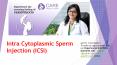 Best ivf centre in Indore | ICSI treatment in indore PowerPoint PPT Presentation