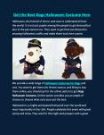 Get the Best Dogs Halloween Costume Here