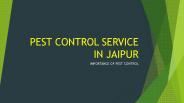 Pest Control Online Service In Jaipur