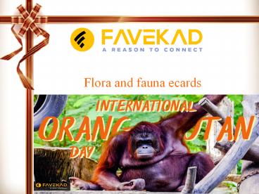 Flora and fauna ecards