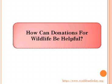 How Can Donations For Wildlife Be Helpful?