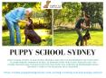 Puppy School Sydney PowerPoint PPT Presentation